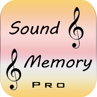 SoundMemoryPro