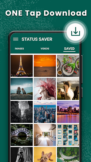 Status Saver For WhatsApp: Download Video Status Screenshot 0