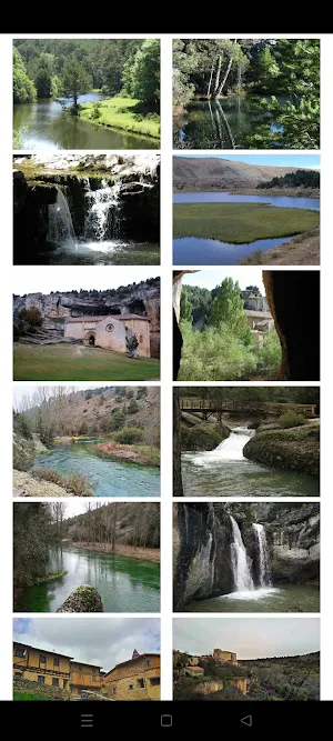 El Nido de Pinares Screenshot 0