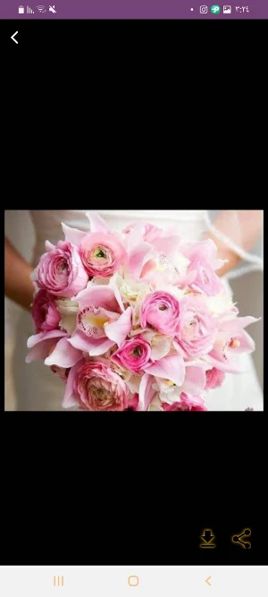 flower photo _ flower bouquet Screenshot 3