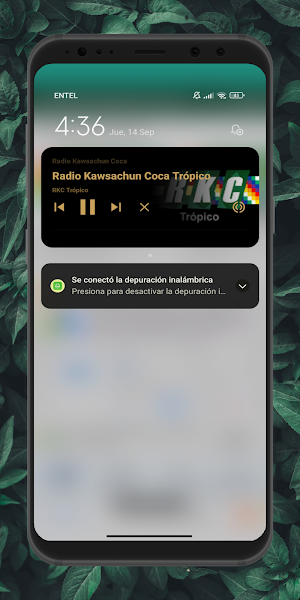 Radio Kawsachun Coca En Vivo Screenshot 2
