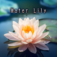 Water Lily Theme +HOME
