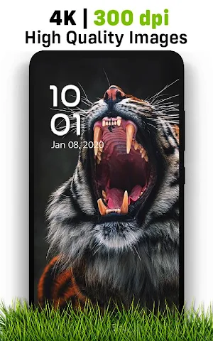 Auto Wallpaper Changer, Nature Wallpapers 4K Screenshot 3
