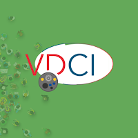 VDCI 2023