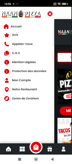 NAAN STOP PIZZA Screenshot 3