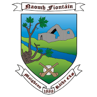 St.Fintan's Mountrath GAA