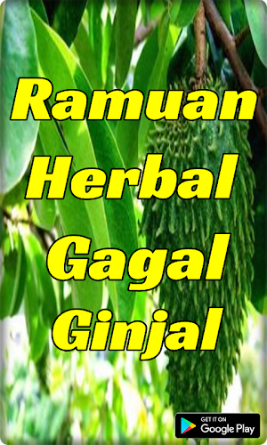 Ramuan Herbal Gagal Ginjal Ter Screenshot 3