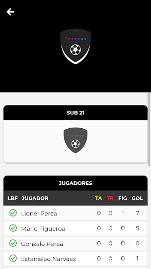 FC Torneo Screenshot 1