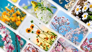 Spring Wallpaper 2024 Screenshot 0