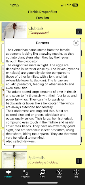 Florida Dragonflies Screenshot 1