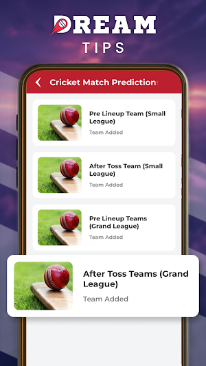 Fantasy Team 11 - Prediction Screenshot 2