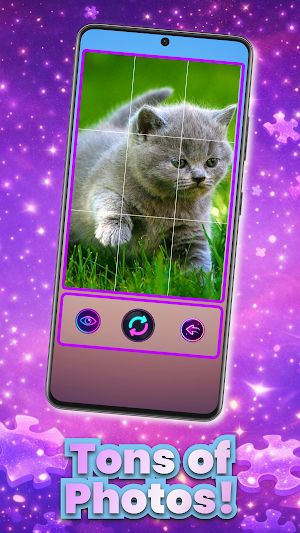 Puzzle Fever: Kitties Screenshot 3