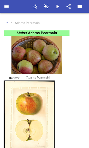 Varieties of apples Screenshot 1