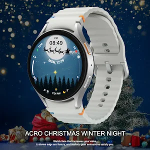 ACRO Christmas Winter Night Screenshot 0