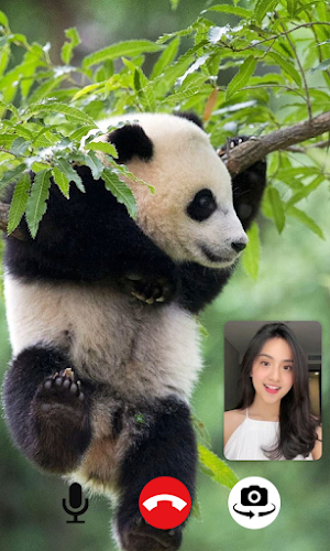 Baby Panda Video Call Screenshot 1