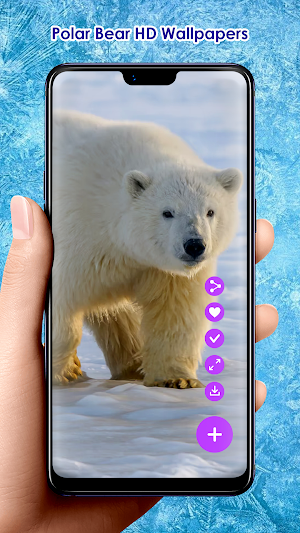 Polar Bear HD Wallpapers Screenshot 2