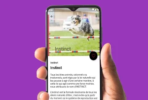 Comment dresser un chien adult Screenshot 3