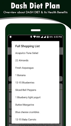 Dash Diet Plan Screenshot 3