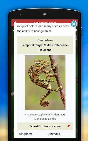 Animal Sounds Screenshot 2