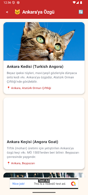 Ankara Travel Guide Screenshot 3
