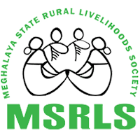 MSRLS HR