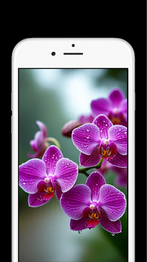 Orchid Flower Wallpapers Screenshot 0