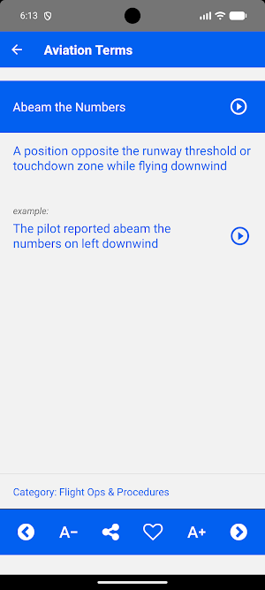 Aviation Terms and Phrases Screenshot 1