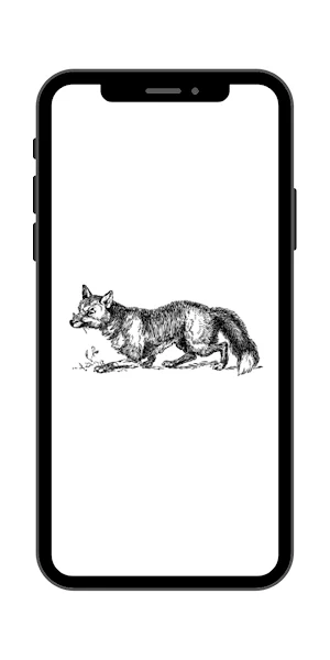 Serigala Hutan Wallpaper Screenshot 0