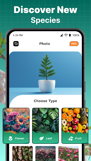 HiPlant - Ai Plant Identifier Screenshot 2