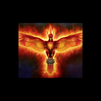 Phoenix Fitness