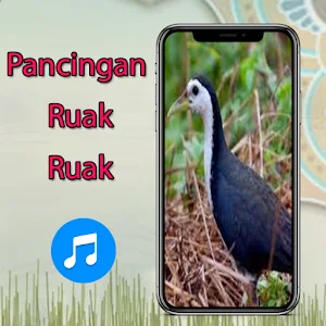 Pancingan Ruak Ruak Offline Screenshot 2