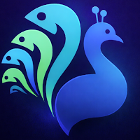peacock-connect