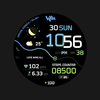 SamWatch PointColor 21 2024