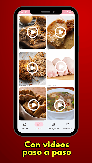 Videos Recetas Carne De cerdo Screenshot 2