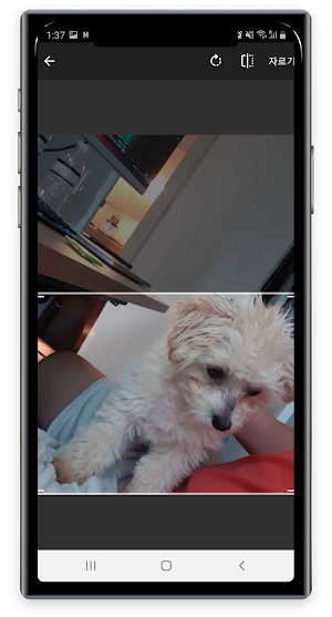 Pet Mood Detector: AI Analysis Screenshot 0