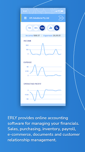 erly Accounting Screenshot 2