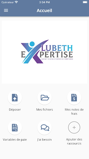 Lubeth Expertise Screenshot 1