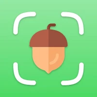 Seed Identifier: Seedorf
