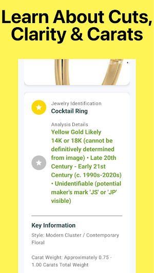 Jewelry Identifier - Gem id Screenshot 3