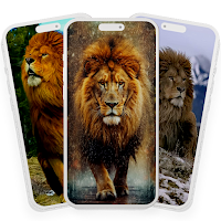 Lion Wallpaper