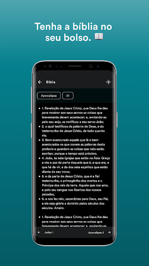 PIBSJM Screenshot 2