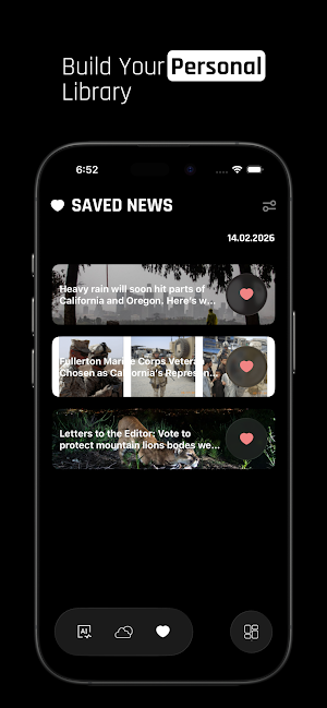 Local News Browser Screenshot 3