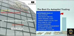 Robot Trading Diversifikasi Screenshot 3