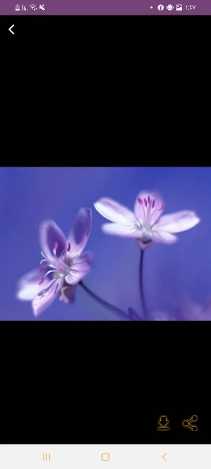 زراعة الورد Screenshot 0