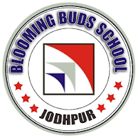 Blooming Buds School