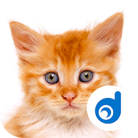 Kitten Sounds