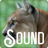Cougar Soundboard Ringtones