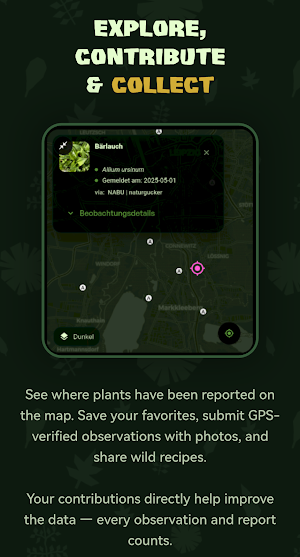 Wild Forager Screenshot 3
