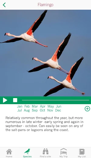 Birdwatching Narbonnaise Screenshot 2