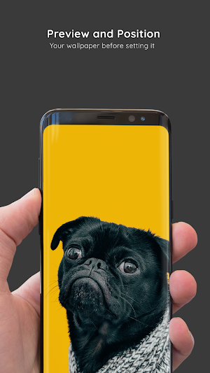 Pug Wallpapers 8K ULTRA Screenshot 3